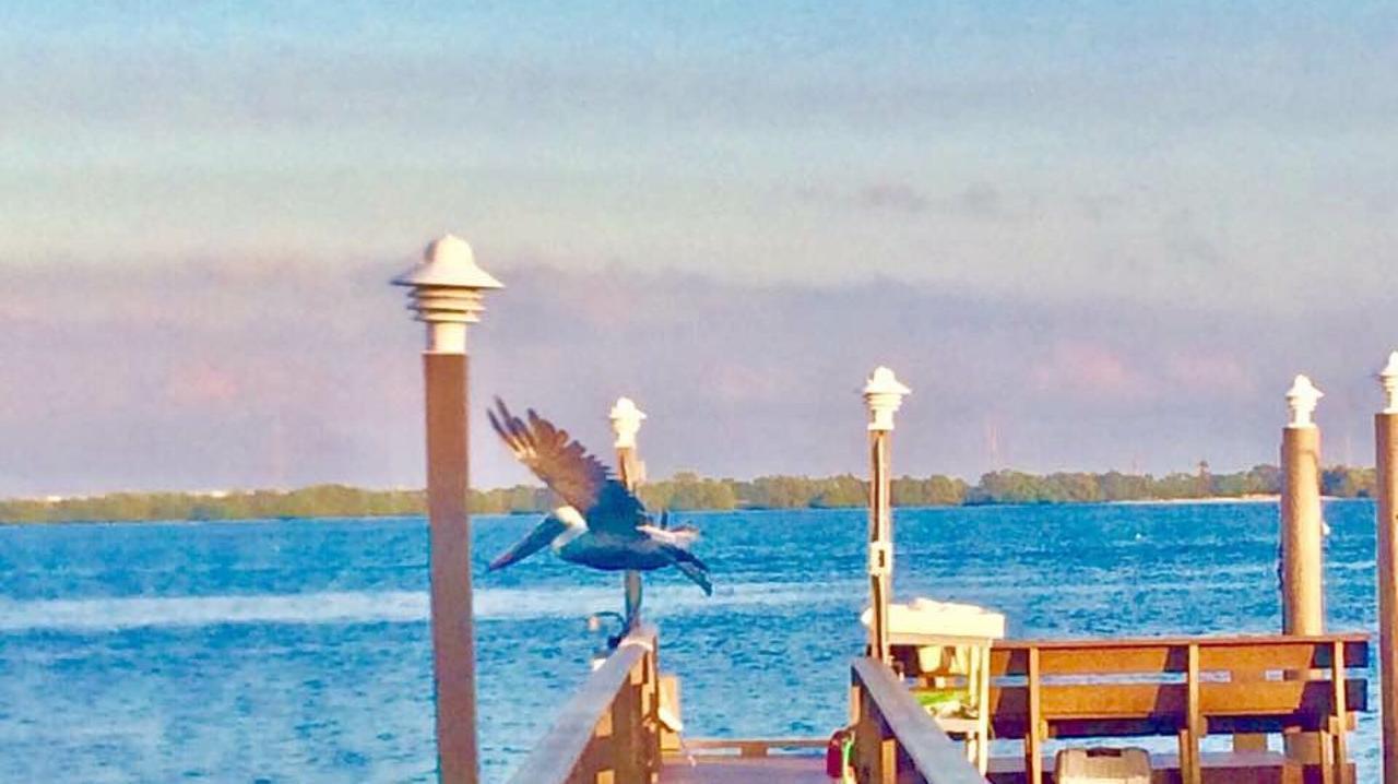 Pag Beachhouse Rentals St. Pete Beach Eksteriør bilde
